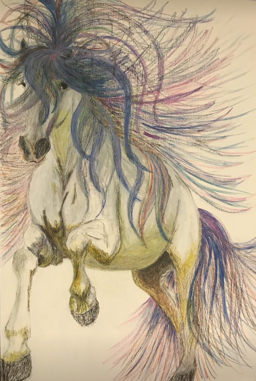 Horses 2