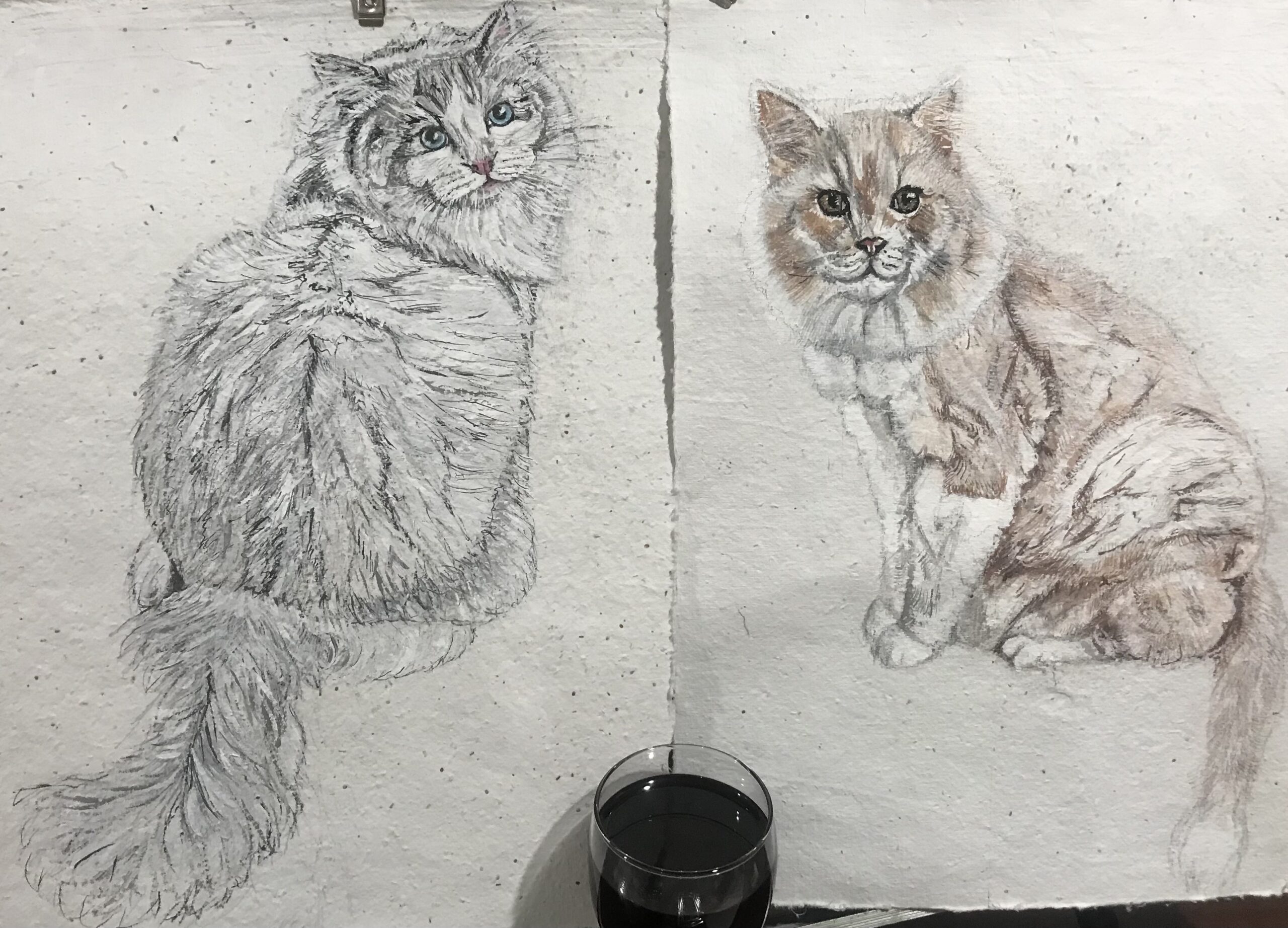 Kitties